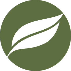Wildtree Media Logo Green PNG